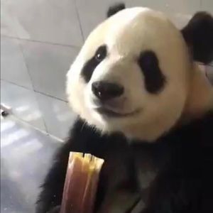 Meet your Posher, Timothy